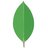 Mongodb Logo